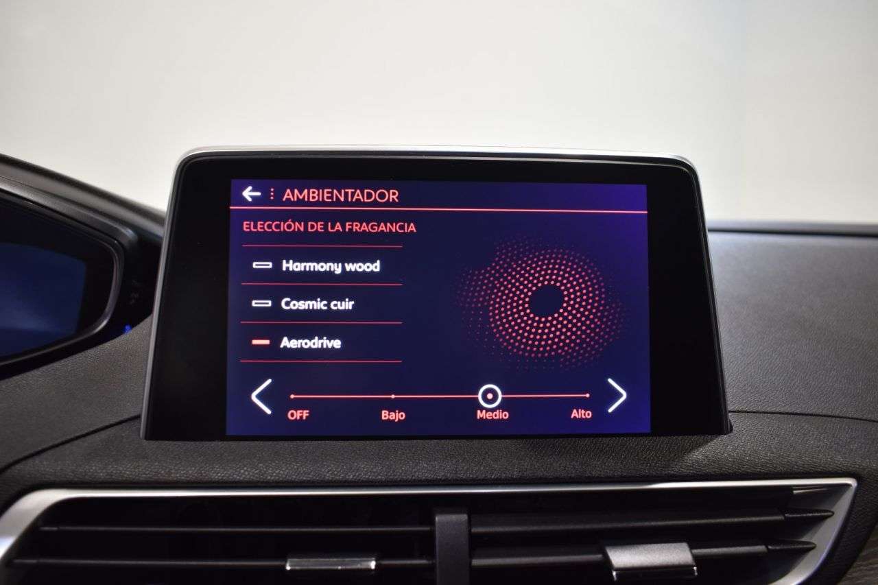 PEUGEOT 3008 en Minoautos