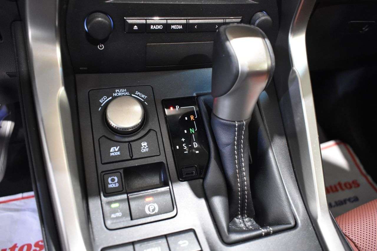 LEXUS NX en Minoautos