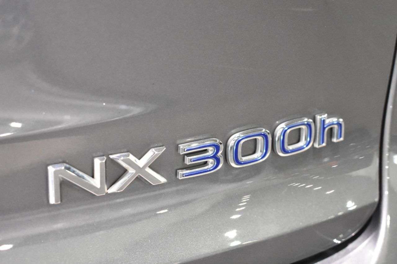 LEXUS NX en Minoautos
