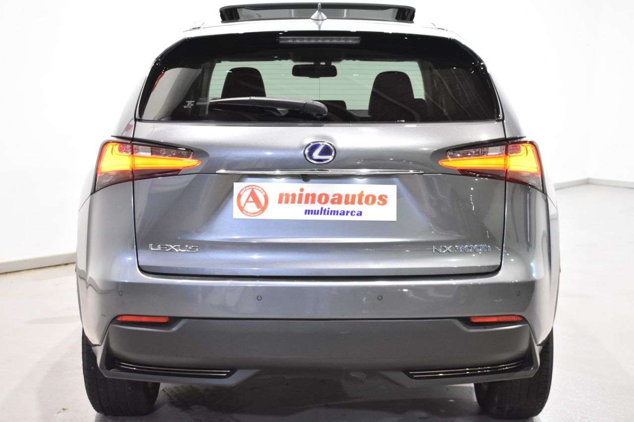 LEXUS NX en Minoautos
