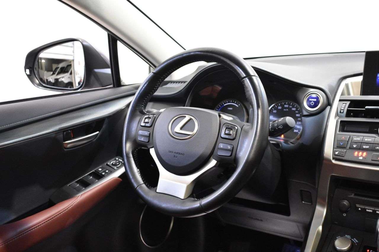 LEXUS NX en Minoautos