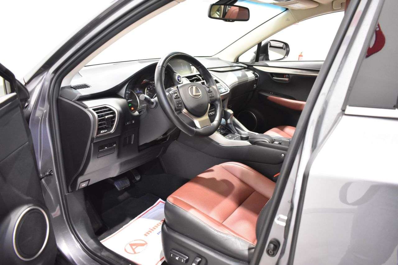 LEXUS NX en Minoautos