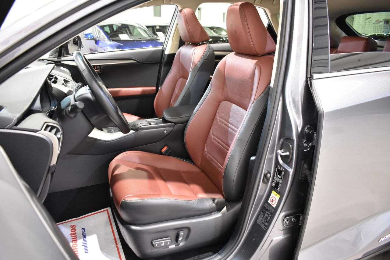 LEXUS NX en Minoautos