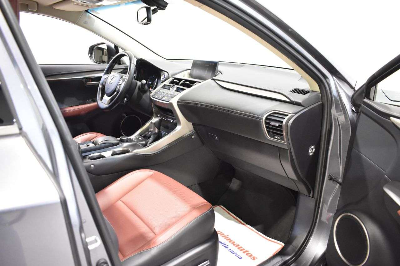 LEXUS NX en Minoautos