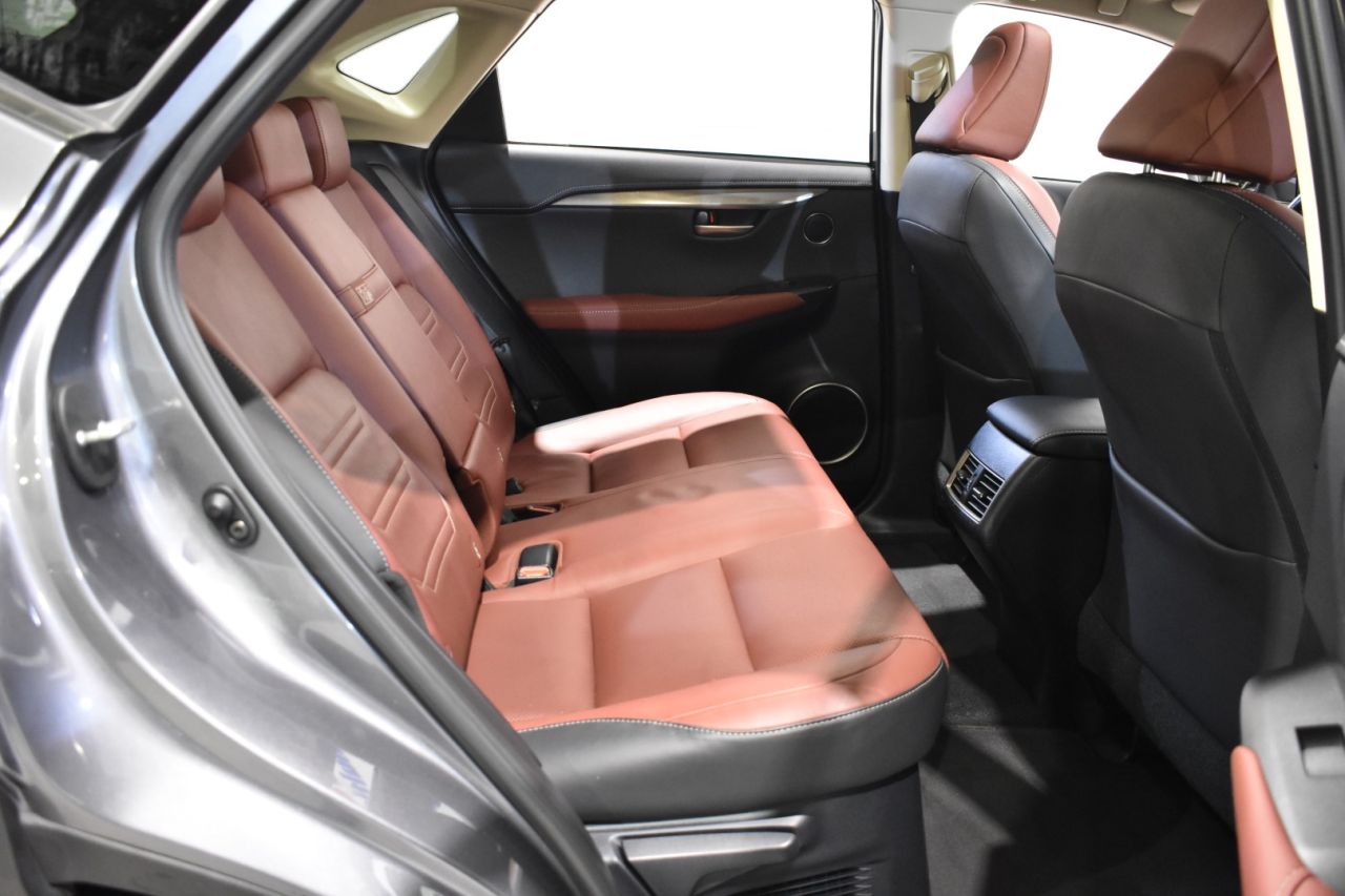 LEXUS NX en Minoautos