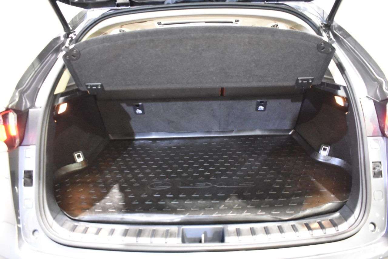 LEXUS NX en Minoautos