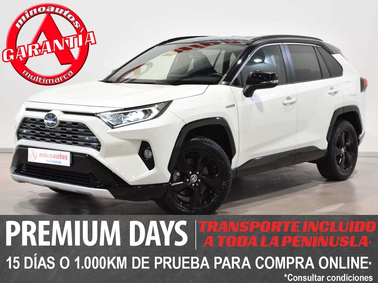 TOYOTA RAV4 en Minoautos