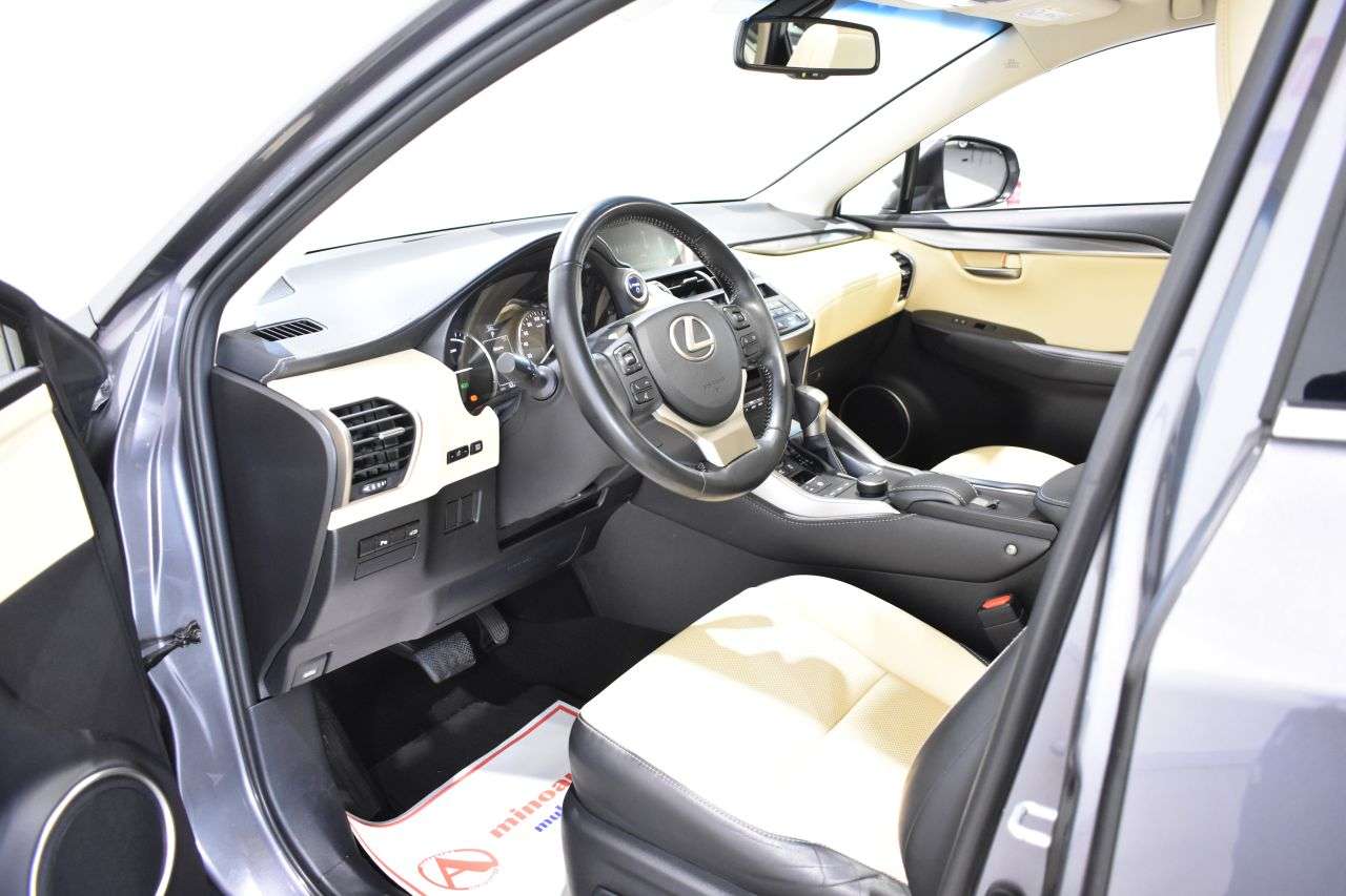 LEXUS NX en Minoautos