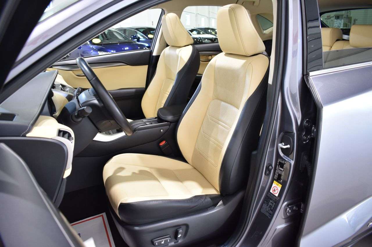 LEXUS NX en Minoautos