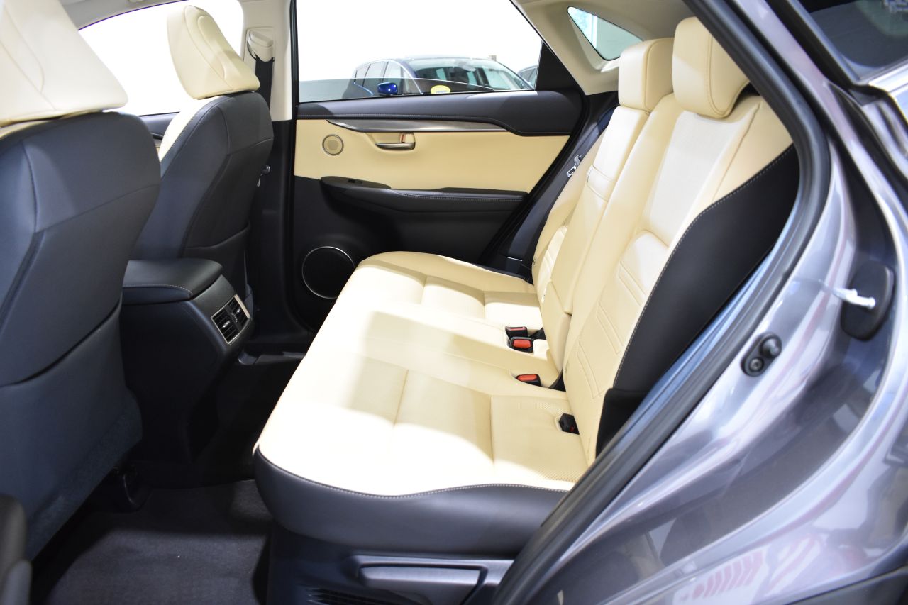LEXUS NX en Minoautos