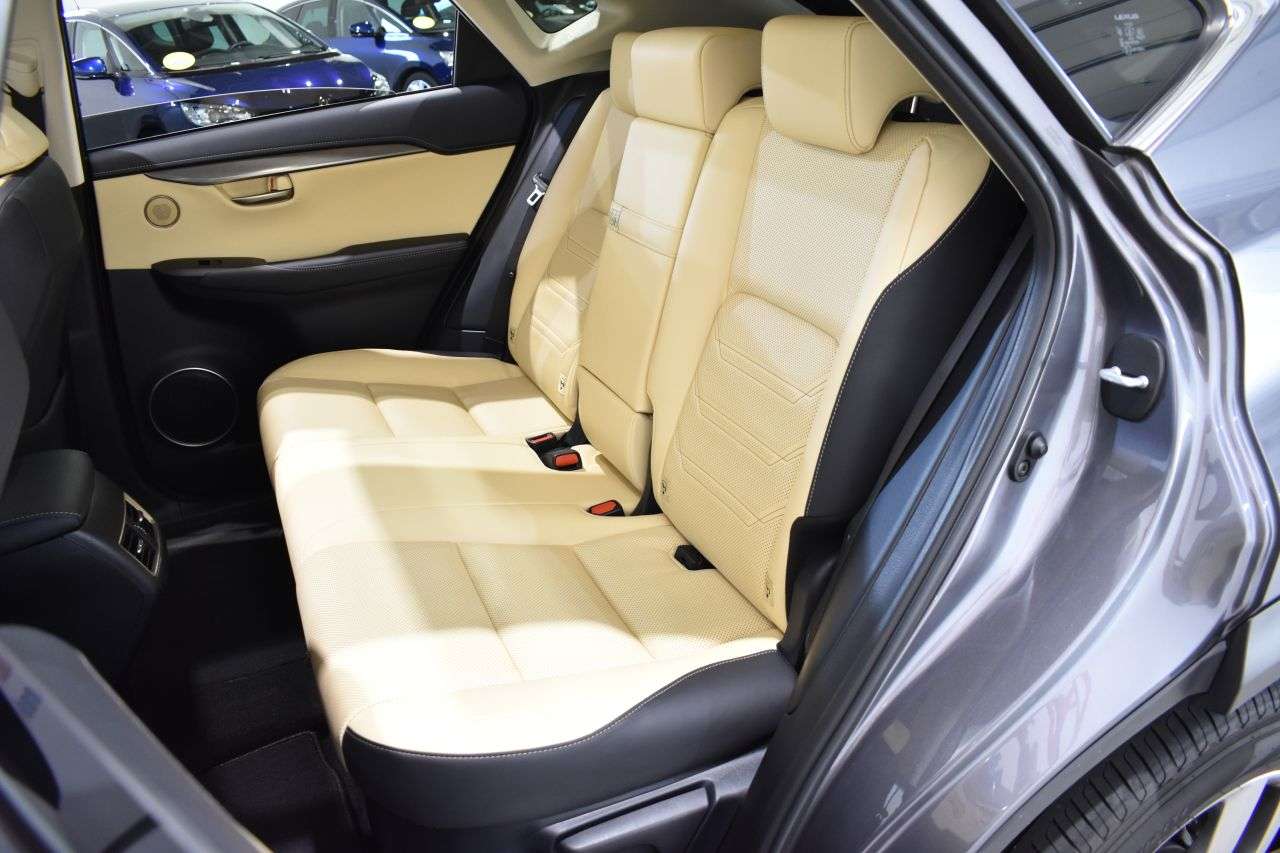 LEXUS NX en Minoautos