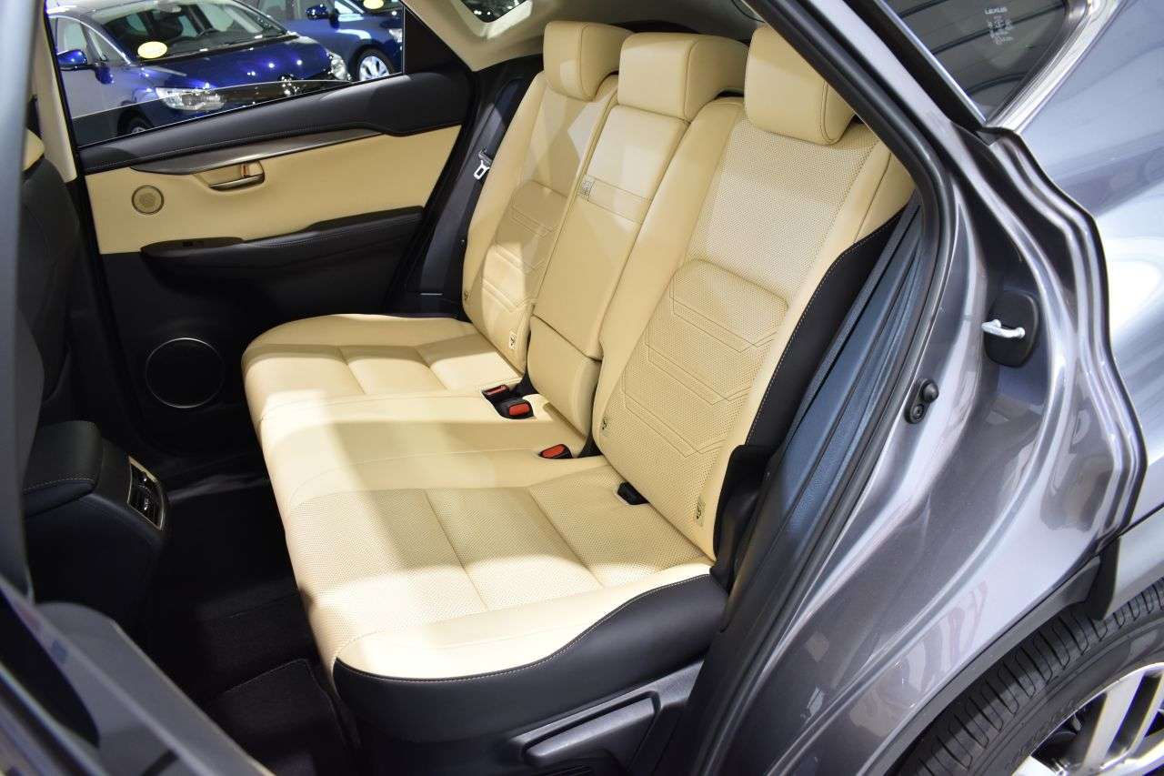 LEXUS NX en Minoautos