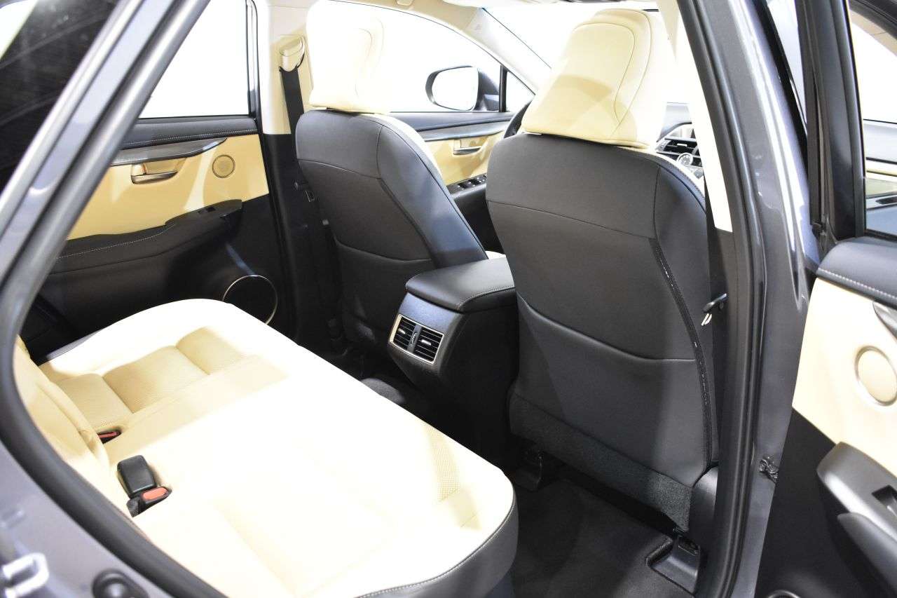 LEXUS NX en Minoautos