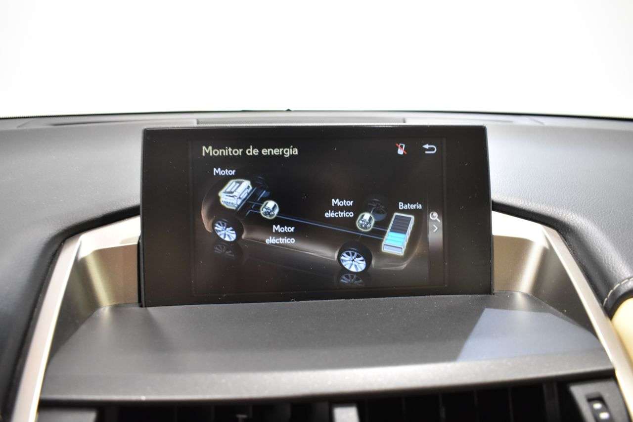 LEXUS NX en Minoautos