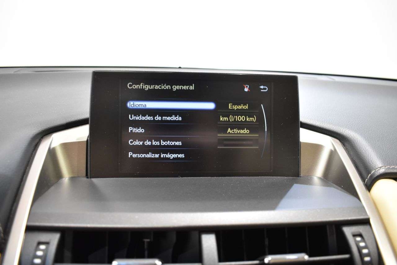 LEXUS NX en Minoautos