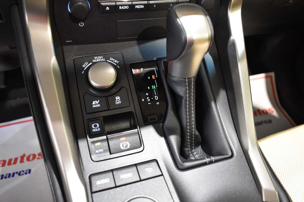 LEXUS NX en Minoautos