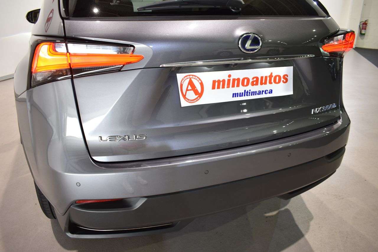 LEXUS NX en Minoautos