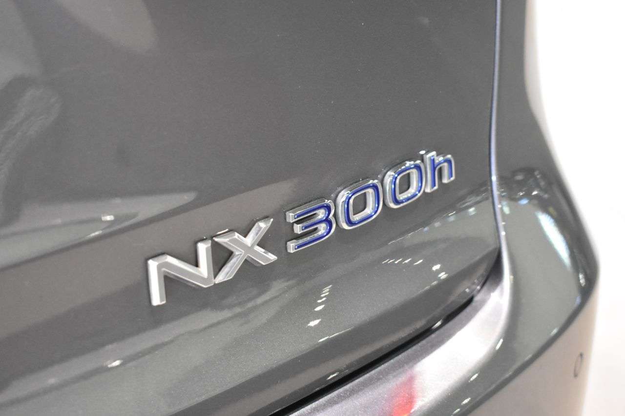 LEXUS NX en Minoautos