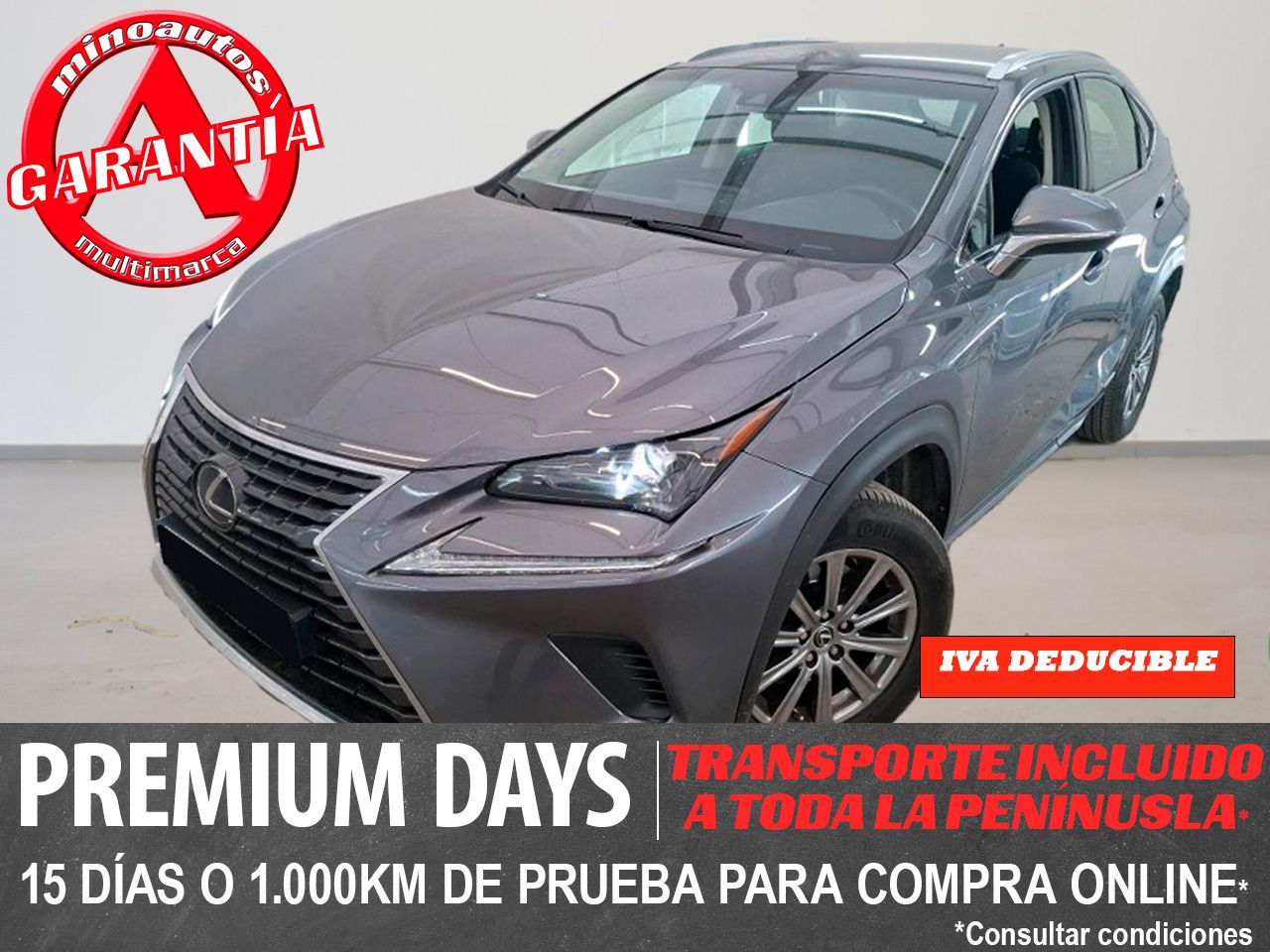 LEXUS NX en Minoautos