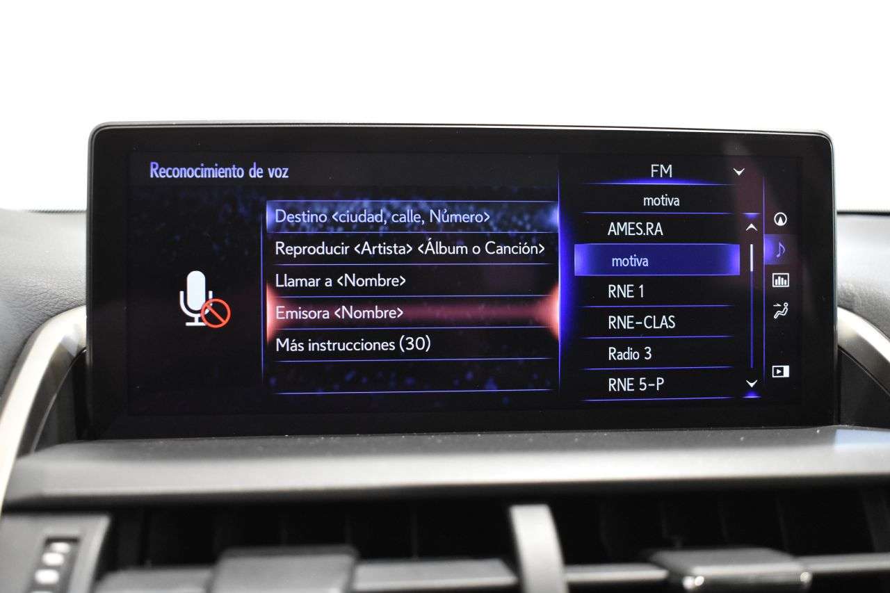 LEXUS NX en Minoautos