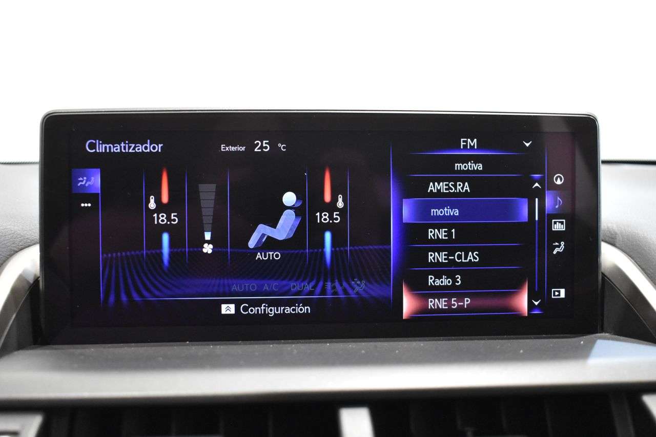 LEXUS NX en Minoautos