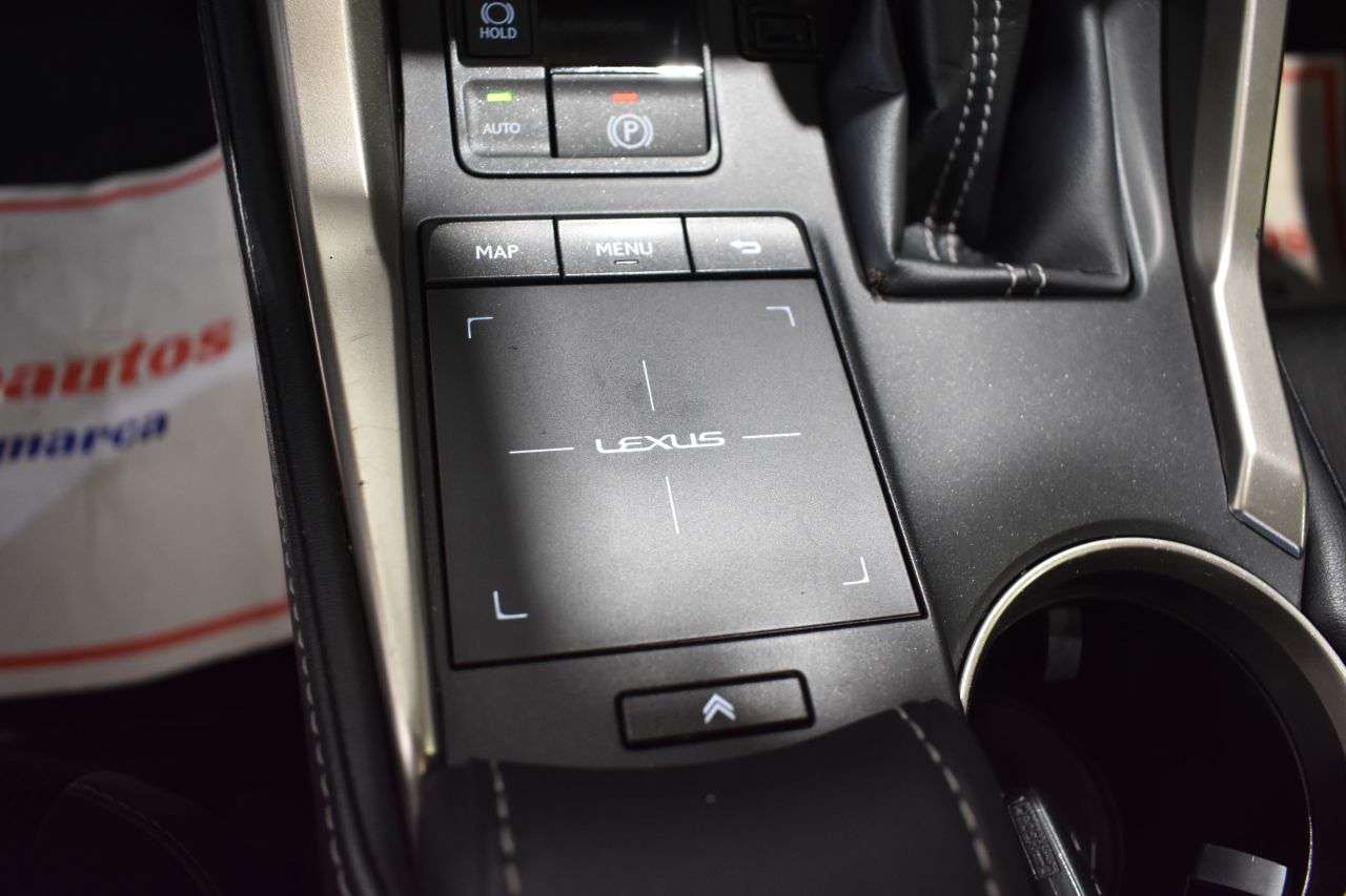 LEXUS NX en Minoautos