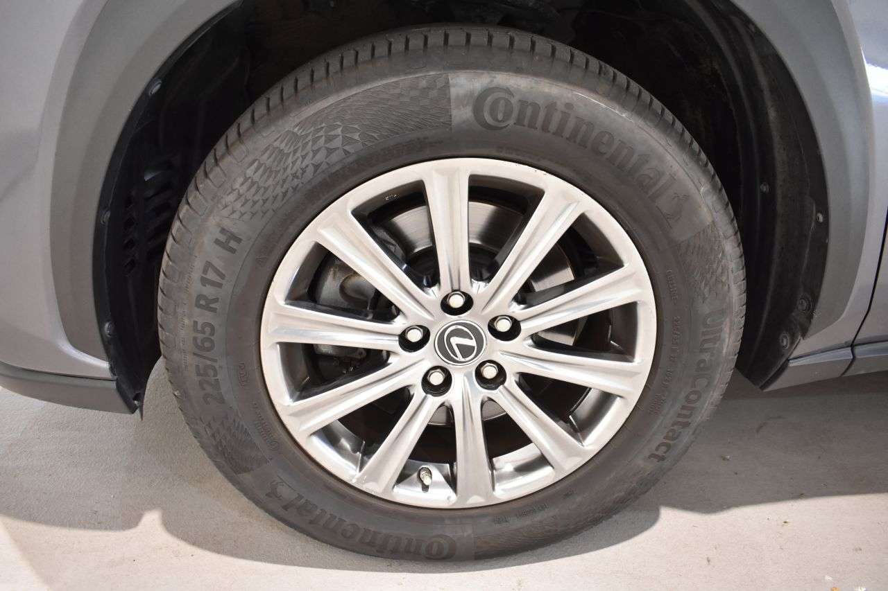 LEXUS NX en Minoautos