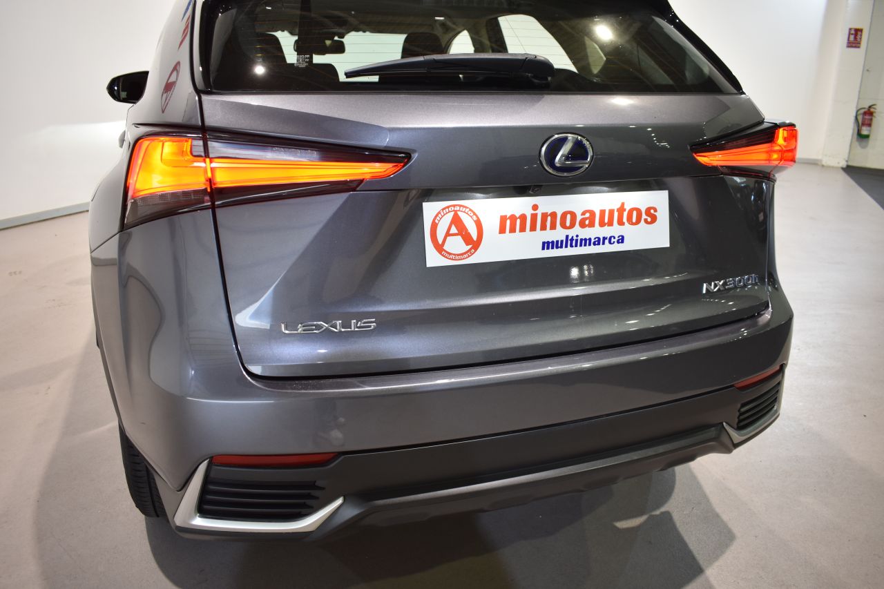 LEXUS NX en Minoautos