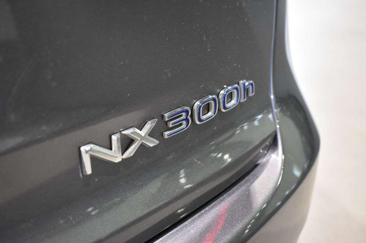 LEXUS NX en Minoautos