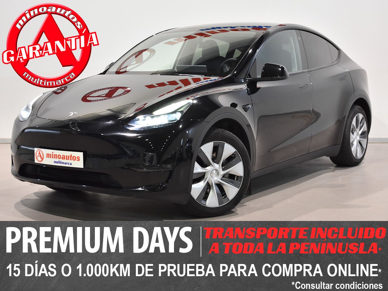 TESLA MODEL Y en Minoautos