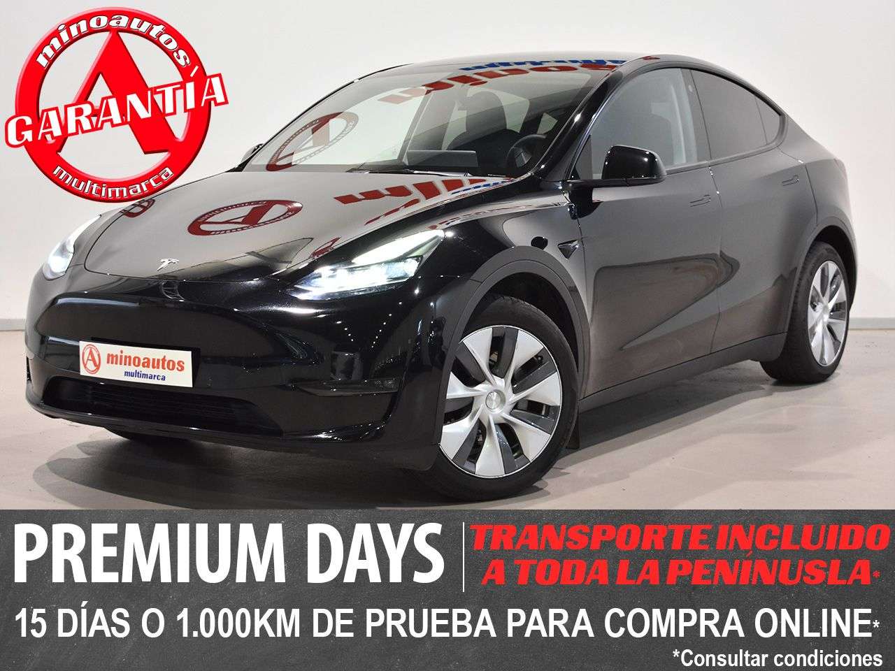 TESLA MODEL Y en Minoautos