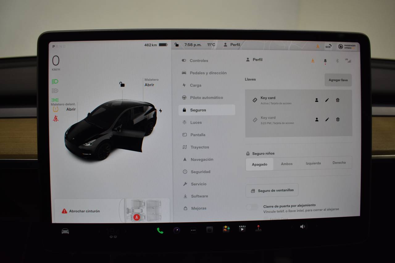TESLA MODEL Y en Minoautos