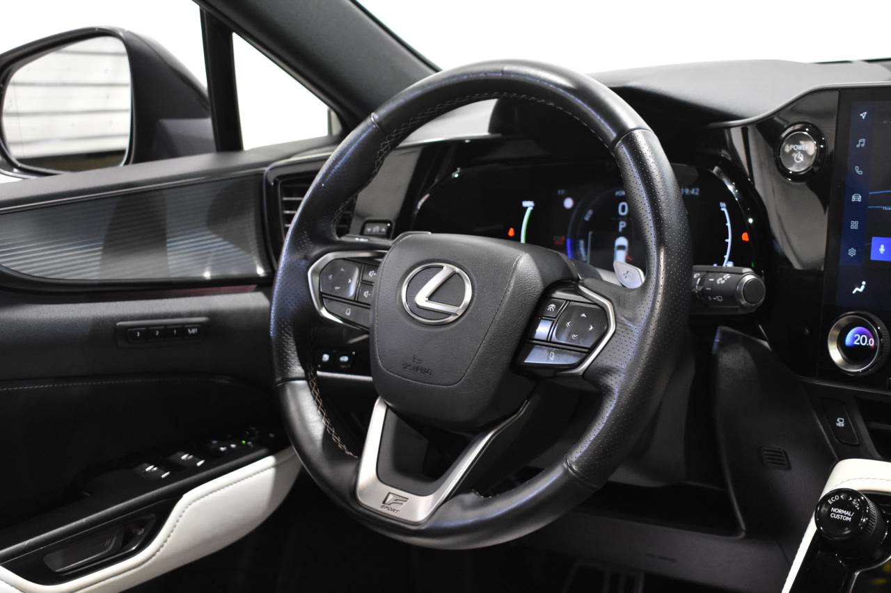 LEXUS NX en Minoautos