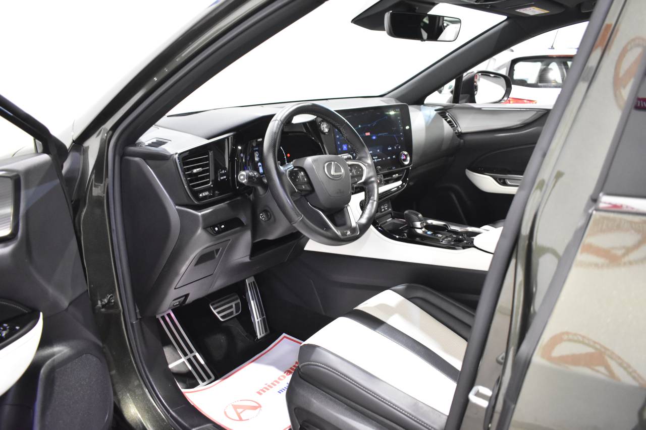 LEXUS NX en Minoautos