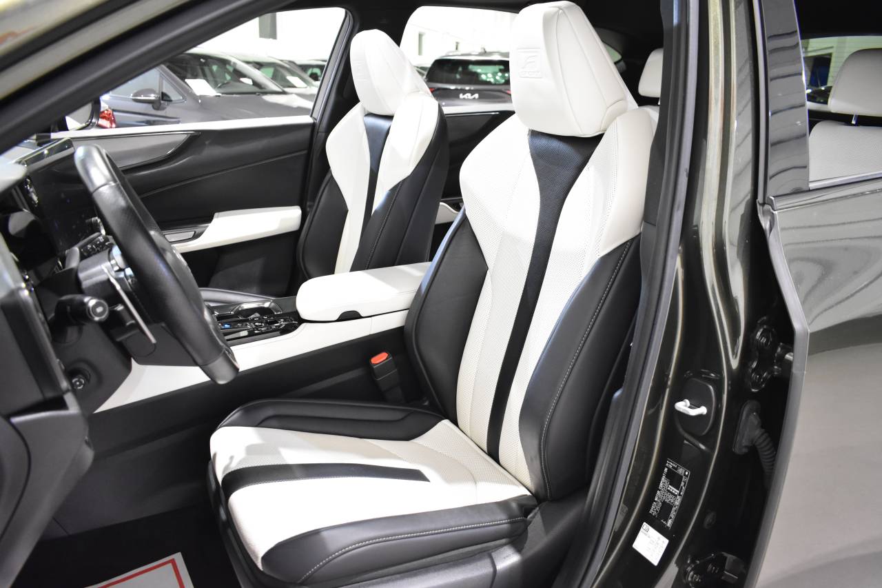 LEXUS NX en Minoautos