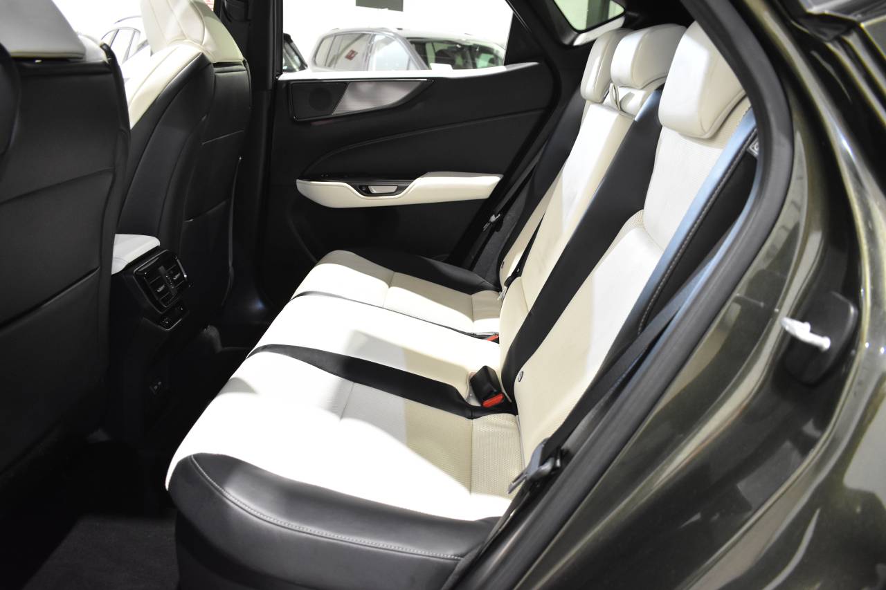 LEXUS NX en Minoautos